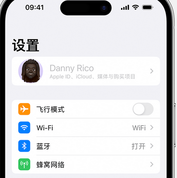 包头appleID维修服务iPhone设置中Apple ID显示为灰色无法使用