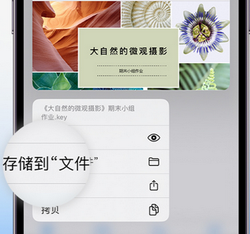 包头apple维修中心分享iPhone文件应用中存储和找到下载文件