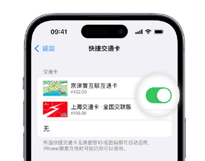 包头apple维修点分享iPhone上更换Apple Pay快捷交通卡手绘卡面 