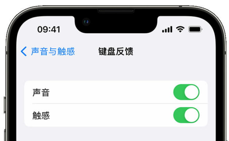 包头苹果手机维修分享iPhone 14触感键盘使用方法 