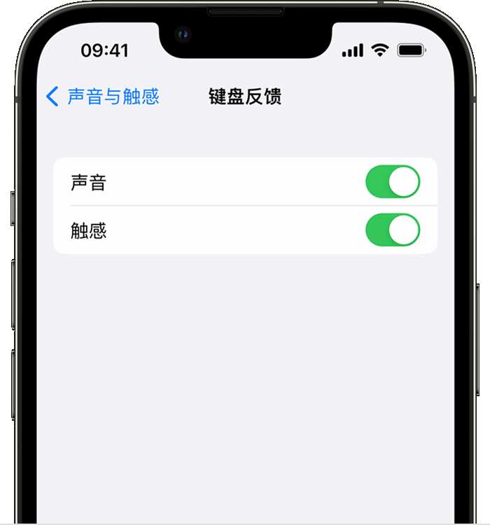 包头苹果14维修店分享如何在 iPhone 14 机型中使用触感键盘 