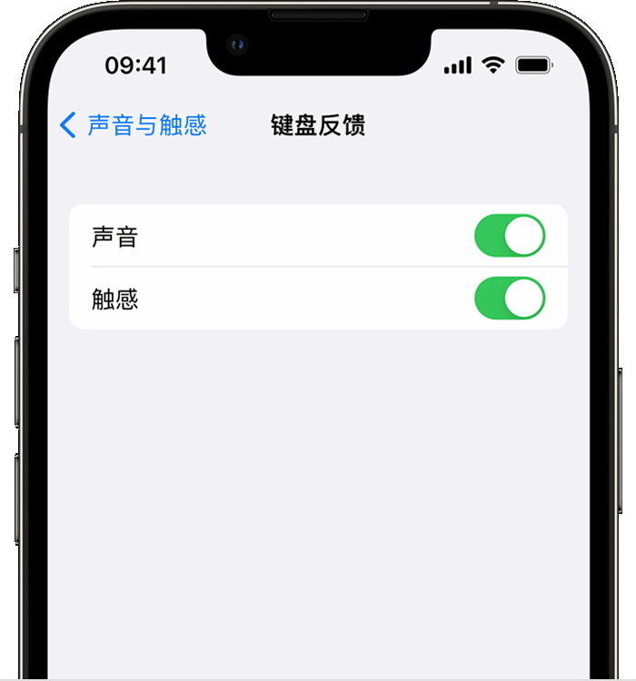 包头苹果14维修分享iPhone 14 系列机型如何开启键盘声音或触感反馈 