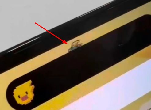 包头苹果14维修分享iPhone 14 Pro Max灵动岛怎么养宠物 