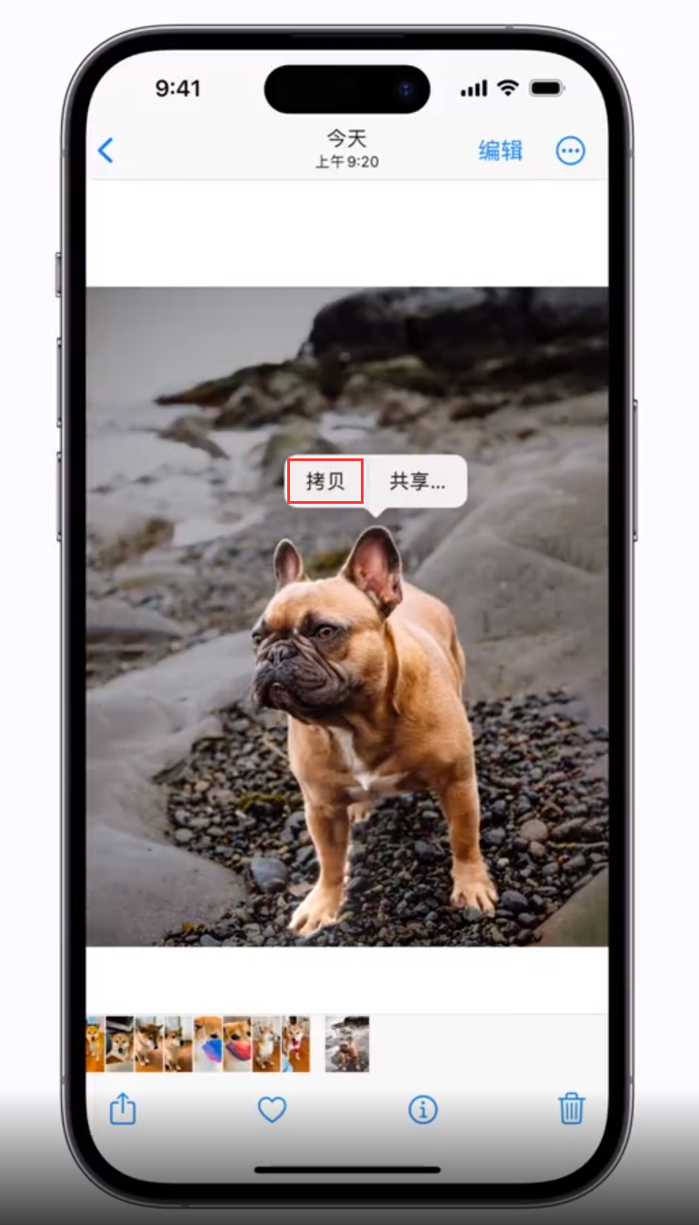 包头苹果手机维修分享 iOS 16 自带一键抠图功能 