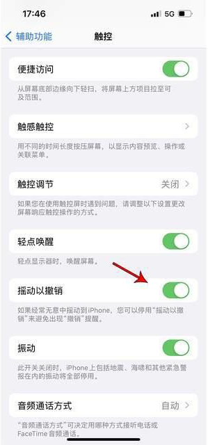 包头苹果手机维修分享iPhone手机如何设置摇一摇删除文字 