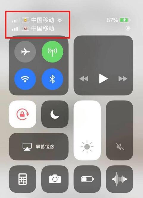 包头苹果手机维修分享为 iPhone 12 双卡设置标签 